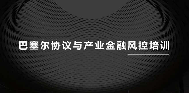 巴塞尔协议与产业金融风控培训