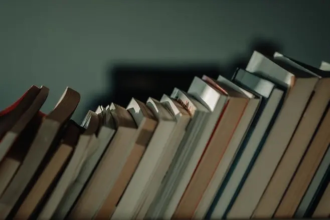 贝贝熊沉迷学习的财务小可爱