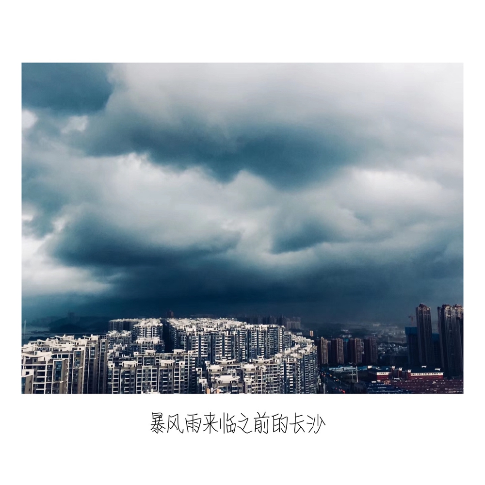 陈春甜IMG_5373.JPG