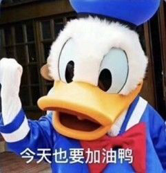 今天也要加油鸭.jpg