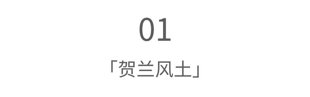 微信图片_20200813120127.jpg