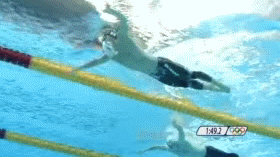 1598337309674826.gif