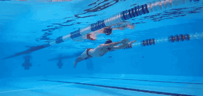 1598338414670734.gif