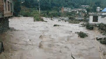 1598521896156523.gif