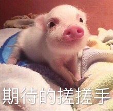 期待的搓搓手.jpg